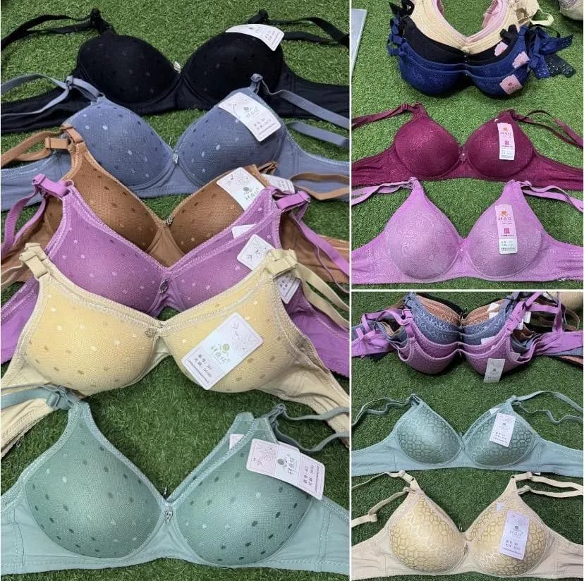 Multicolor Padded Bra Embroidered Polyester Sizes 32-42